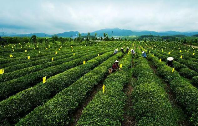 重磅！國家要重點建設1000個鄉村振興示范村鎮！未來將有大發展!