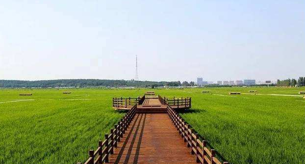 黑龍江省五常市現代農業產業園